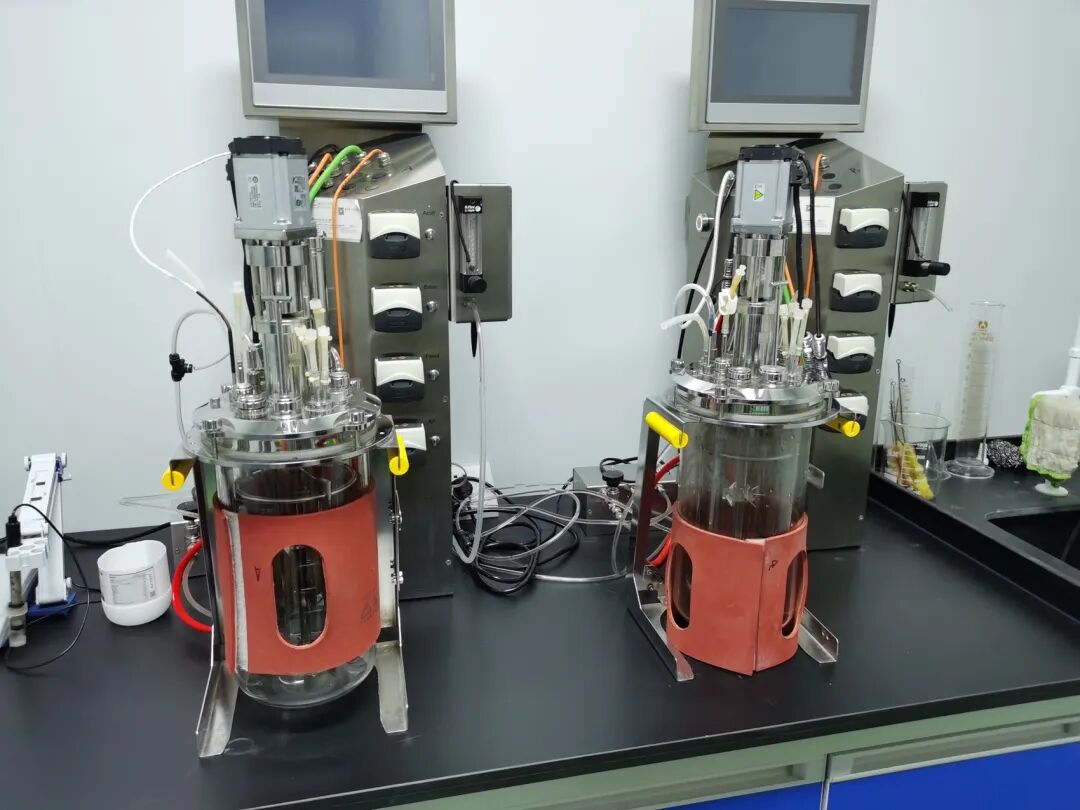 微信图片_2025-09-04_142651_521