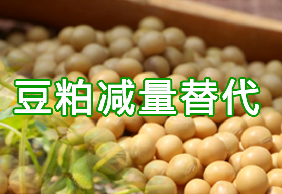 豆粕减量替代