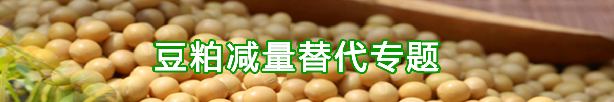 豆粕减量替代