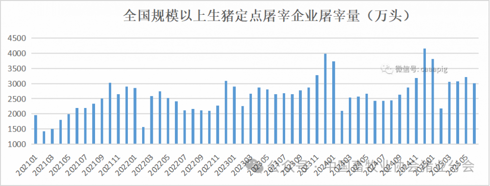 微信图片_2025-07-30_110545_953